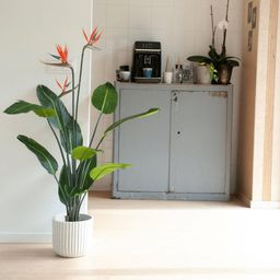 Strelitzia met bloemen - 120cm - In zwarte pot - Kunstplant (8714344308426)