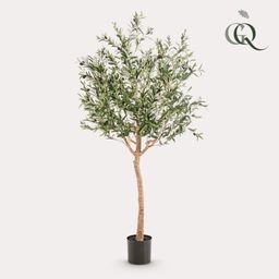 Kunst Olijfboom - Olea europaea - Olijfboom - 180 cm (8720872540542)