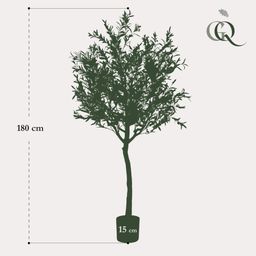 Kunst Olijfboom - Olea europaea - Olijfboom - 180 cm (8720872540542)