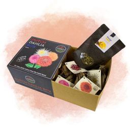 Flowerbulbs amsterdam Dutch Dahlia Box M, set van 4 dahlia's + Mango Kokos Thee, geschenk (8720938490835)