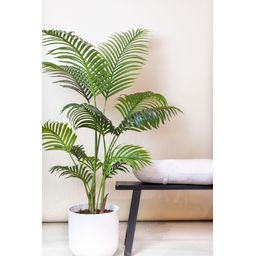 Kunstplant - Howea Forsteriana - 140 cm (8720872540351)