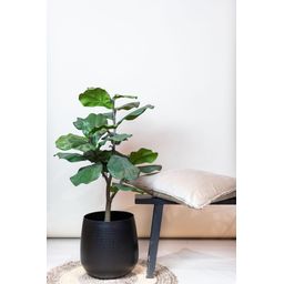 Kunstplant - Ficus Lyrata - Tabaksplant - 90 cm (8720872540337)