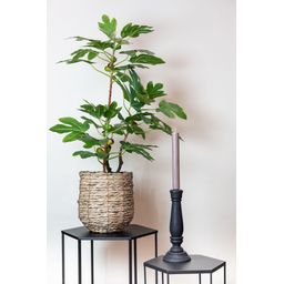 Kunstplant - Ficus Carica - Vijgenboom - 95 cm (8720872540313)