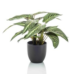 Calathea Zebrina in zwarte pot - 42 cm hoog - Kunstplant (8714344345247)