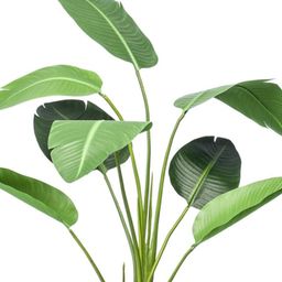 Strelitzia - 120cm - In zwarte pot - Kunstplant (8714344263565)