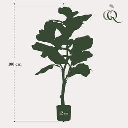 Kunstplant - Ficus Lyrata - Tabaksplant - 90 cm (8720872540337)
