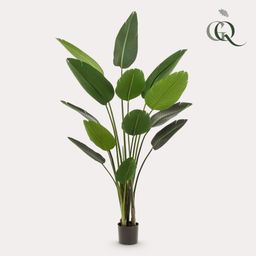 Kunstplant - Strelitzia Nicolai - Paradijsvogelbloem - 190 cm (8720872540795)