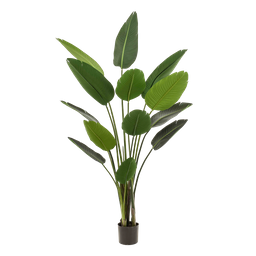 Kunstplant - Strelitzia Nicolai - Paradijsvogelbloem - 190 cm (8720872540795)
