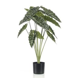 Alocasia 80cm - Kunstplant (08714344298581)