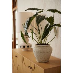 Alocasia 80cm - Kunstplant (08714344298581)