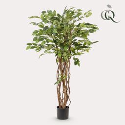 kunstplant - Ficus liana - Vioolbladplant (8720872542232)