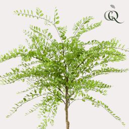 kunstplant - Sophora tree - Honingboom (8720872542270)
