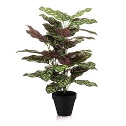 Calathea in pot - 65 cm hoog - Kunstplant (8714344529227)