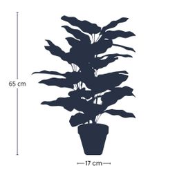 Calathea in pot - 65 cm hoog - Kunstplant (8714344529227)