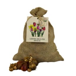 Flowerbulbs amsterdam Super Lasting Wild Mix - Duurzame voordeelzak, 100 bloembollen voor 2,5 m2 bloemenpracht (8720938490927)