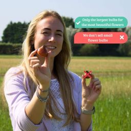 Flowerbulbs amsterdam Super Lasting Wild Mix - Duurzame voordeelzak, 100 bloembollen voor 2,5 m2 bloemenpracht (8720938490927)