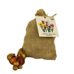 Flowerbulbs amsterdam Medium Lasting Wild Mix - Duurzame voordeelzak, 50 bloembollen voor 1 m2 bloemenpracht (8720938490910)