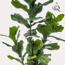 kunstplant - Ficus Lyrata - Tabaksplant (8720872542287)