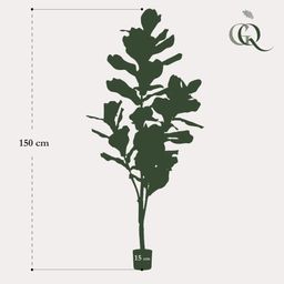 kunstplant - Ficus Lyrata - Tabaksplant (8720872542287)