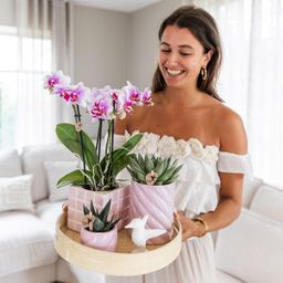 Gift set Colourful Optimism | Plantenset met roze Phalaenopsis Orchidee en Succulenten incl. keramieken sierpotten (8785279223672)