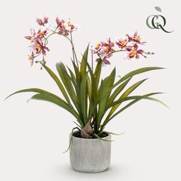 Kunstplant - Orchidee - Bordeaux (8720872541761)