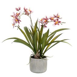 Kunstplant - Orchidee - Bordeaux (8720872541761)