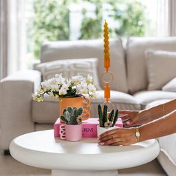 Witte phalaenopsis orchidee - Nazaré (8785279223344)