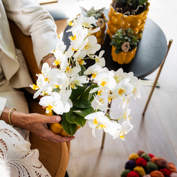 Planten cadeau beterschap | Lausanne orchidee met pot, kaart & cadeautas (7865885328976)