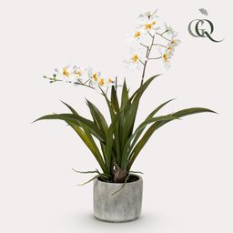 Kunstplant - Orchidee - Wit (8720872541747)