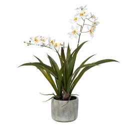 Kunstplant - Orchidee - Wit (8720872541747)