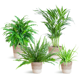 Diervriendelijke plantenset (8721042060099)