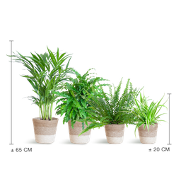 Diervriendelijke plantenset (8721042060099)