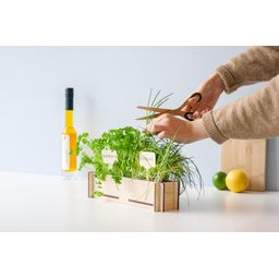 Kruidenpost - Peterseliezaadjes en bieslookzaadjes, incl. houten kweekbakje (8721042064004)