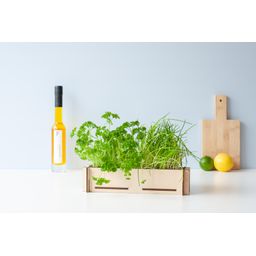Kruidenpost - Peterseliezaadjes en bieslookzaadjes, incl. houten kweekbakje (8721042064004)