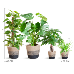 Easy care Plantenbox - medium - met Mand Lissabon zwart (8721042063991)