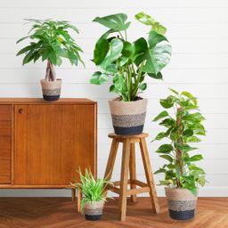 Easy care Plantenbox - medium - met Mand Lissabon zwart (8721042063991)
