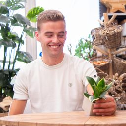 Congreet plantpots + Sansevieria | Ich liebe Dich (8721225131615)