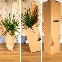Buitenbeentjesbox - Ø12cm - 8x (8720634287203)