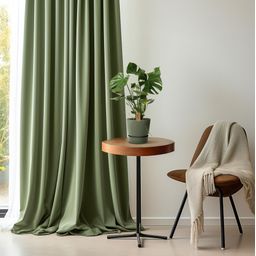 Monstera Deliciosa P21 (29830)