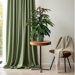 Ficus Binnendijkii 'Amstel King' P17 (29825)