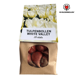Tulpenbollen White Valley – 20 Stuks | KH Bloembollen® | Witte Tulp – Fris, Elegant & Tijdloos – Voor Tuin of Pot – Maat 11/12 – Vers van de Teler (08720256864691)