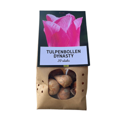 Tulpenbollen Dynasty – 20 Stuks | KH Bloembollen® | Roze Tulp – Elegant & Vol – Voor Tuin of Pot – Maat 11/12 – Vers van de Teler (08720256864653)