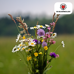 Kh bloembollen Wilde Bloemenzaad Mengsel – 100 gram | Goed voor Bijen, Vlinders & Biodiversiteit | ± 30–50 m² (51286)