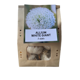 Kh bloembollen White Giant - Allium bollen 5 stuks (08720256864608)