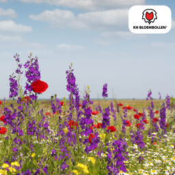 Kh bloembollen Wilde Bloemenzaad Mengsel – 100 gram | Goed voor Bijen, Vlinders & Biodiversiteit | ± 30–50 m² (51286)