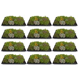 Bodembedekker - Winterhard - Sedum mat - Bestaat uit 10 soorten - X12 - Weinig Onderhoud - Lengte 50 Breedte 30 (8720872546155)