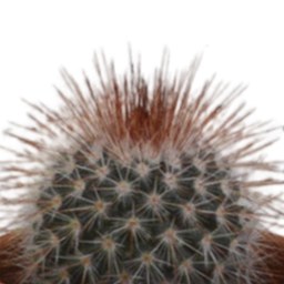 House of cactus Cactus mix 5.5 cm - 5x - in terracotta pot (8720387961023)