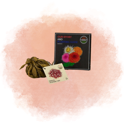 Flowerbulbs amsterdam 12 dahlia mystery day knollen voor 2 m², grootbloemige uitstraling (8720938490651)