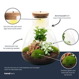 DIY terrarium - Sam Coffea met lamp - Bottle Garden - Normal (8720726958301)