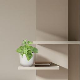 Syngonium Mottled - 25 cm - ø12 (8721081685123)